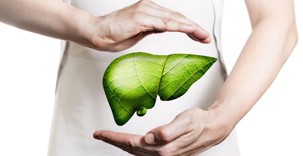 Liver Health: How to Support the Liver’s Natural Detoxification Processes