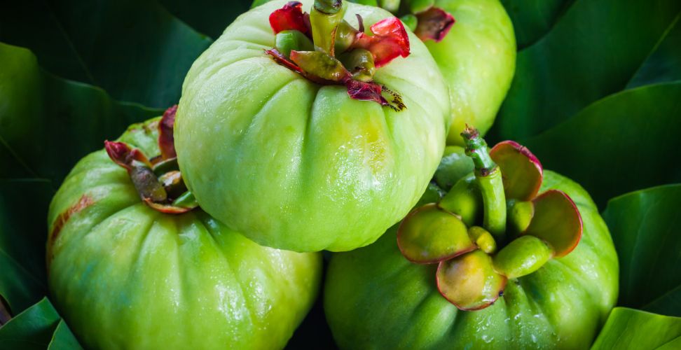 Garcinia Cambogia: The Fruit Extract Known for Appetite Suppression