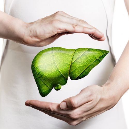 Liver Health: How to Support the Liver’s Natural Detoxification Processes