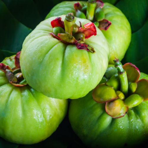 Garcinia Cambogia: The Fruit Extract Known for Appetite Suppression