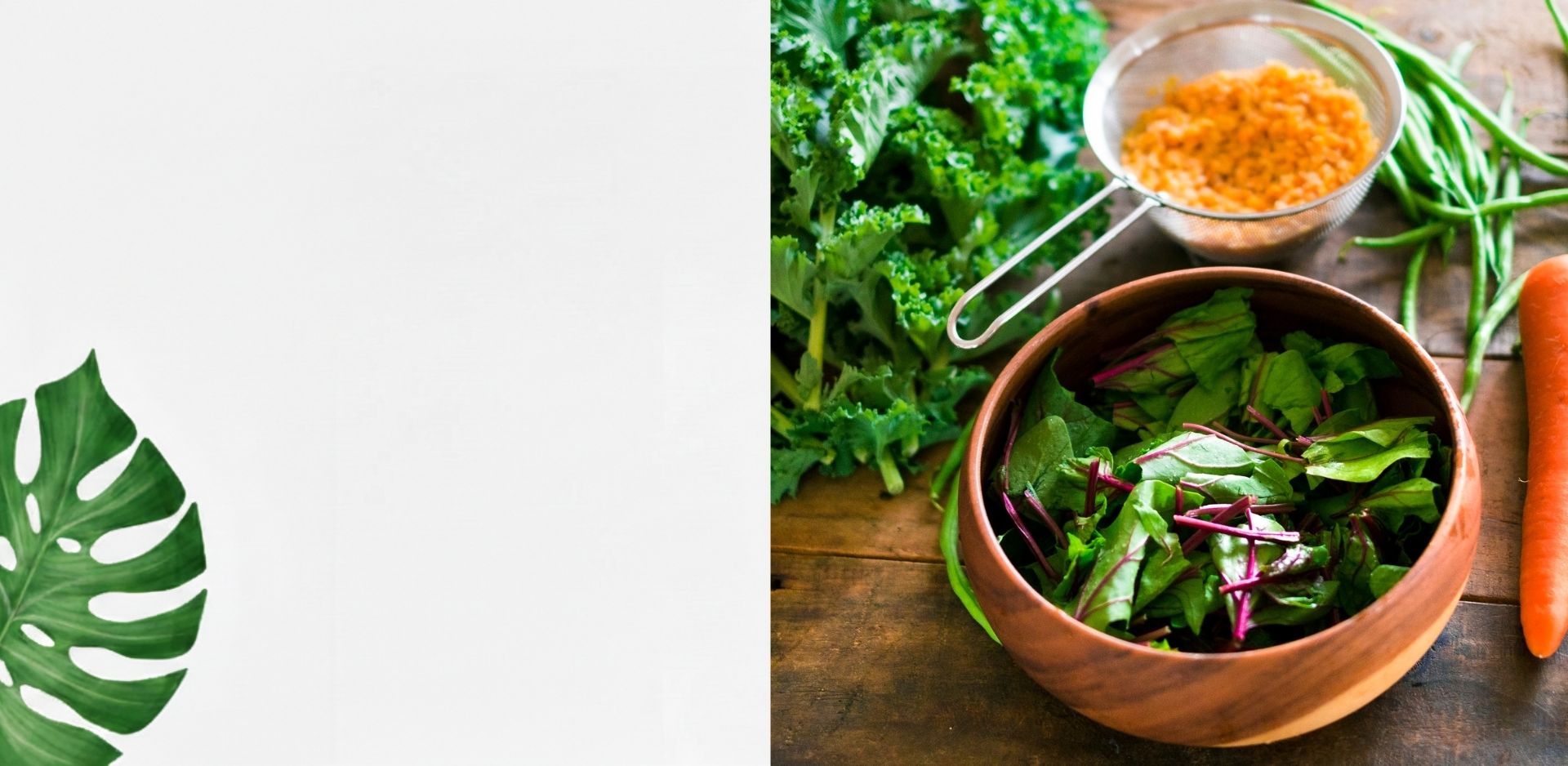 Immune support nutrition